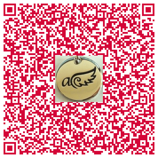a-wings qrcode mit Logo (4)